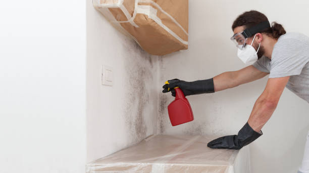 Professional Crawl Space Mold Remediation technician working in Southborough, MA